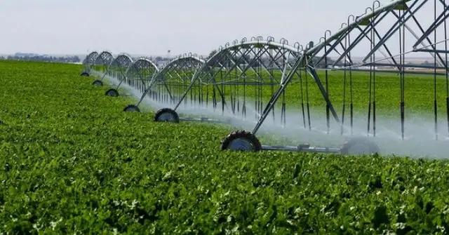 Площадь орошаемых земель в КР увеличилась на 45.6 тыс. га