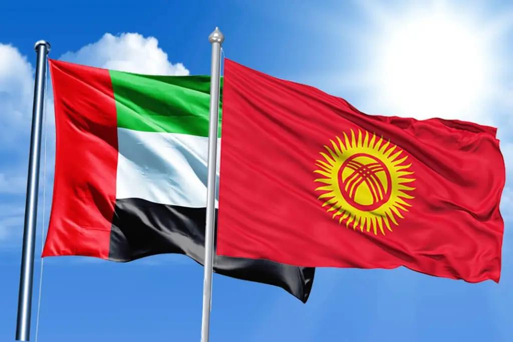 ОАЭ передали Кыргызстану гумпомощь весом 54 тонны