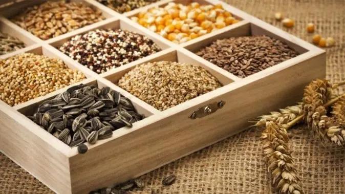 КР может увеличить экспорт сельхозпродукции в Сербию