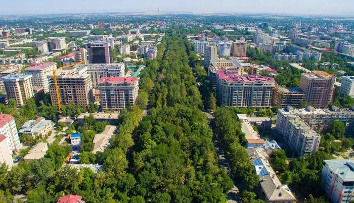 Мэрия Бишкека предоставила в аренду землю на 214 тысяч сомов