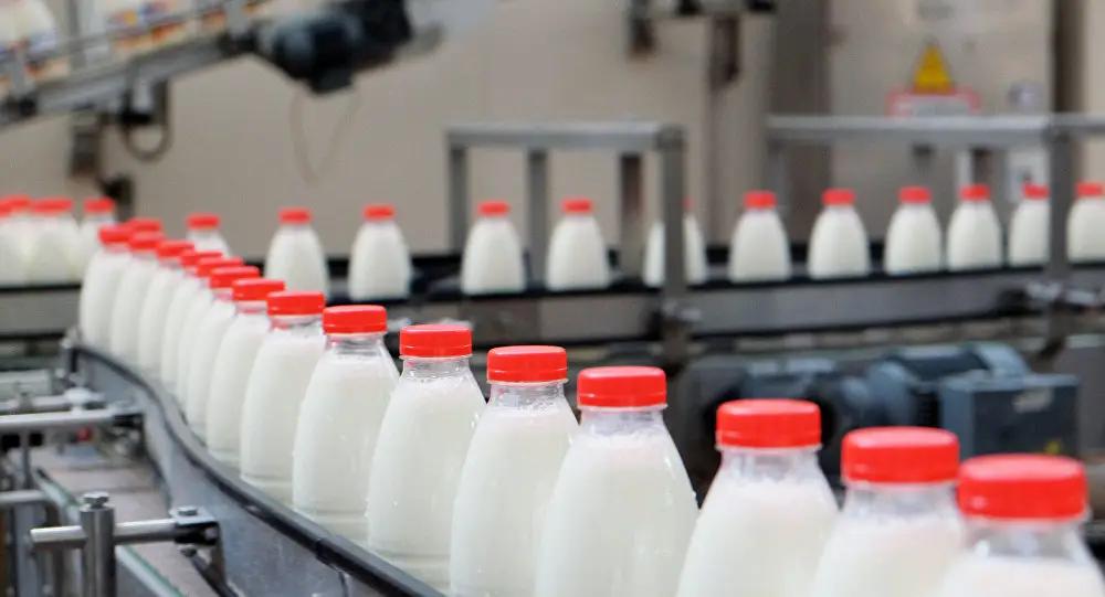 Доходы по акциям «Бишкексут» в 2022 году снизились сразу на 88.7%