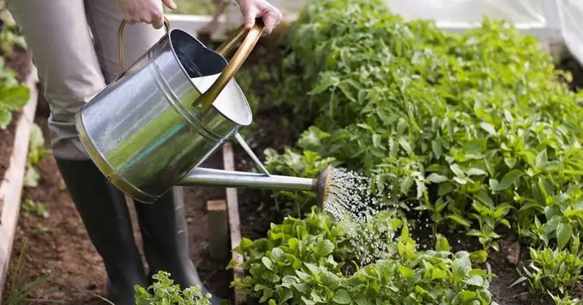 Жизнь россиян вернулась в 1990-е