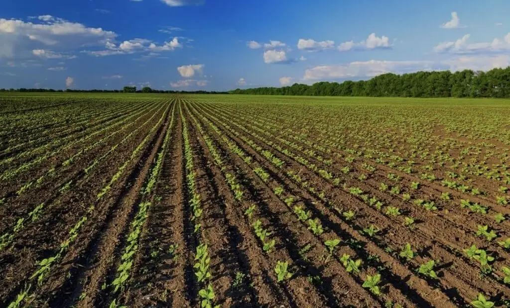 Площадь орошаемых земель Чуйской области составила 320 тысяч га