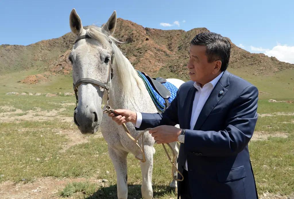 Президент посетил племенной завод «Сал-Эм»