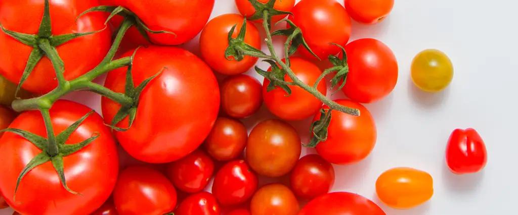 В Кыргызстане по сравнению с прошлым годом больше всего подорожали томаты