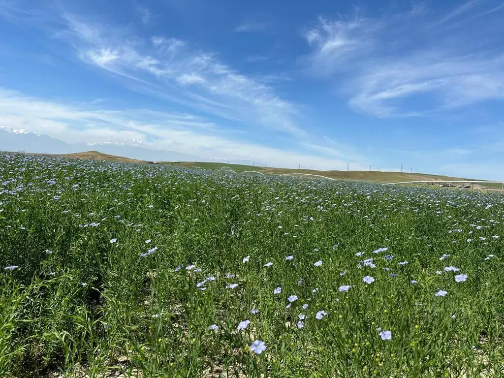 Фермерам рассказали о том, что сегодня выгодно выращивать