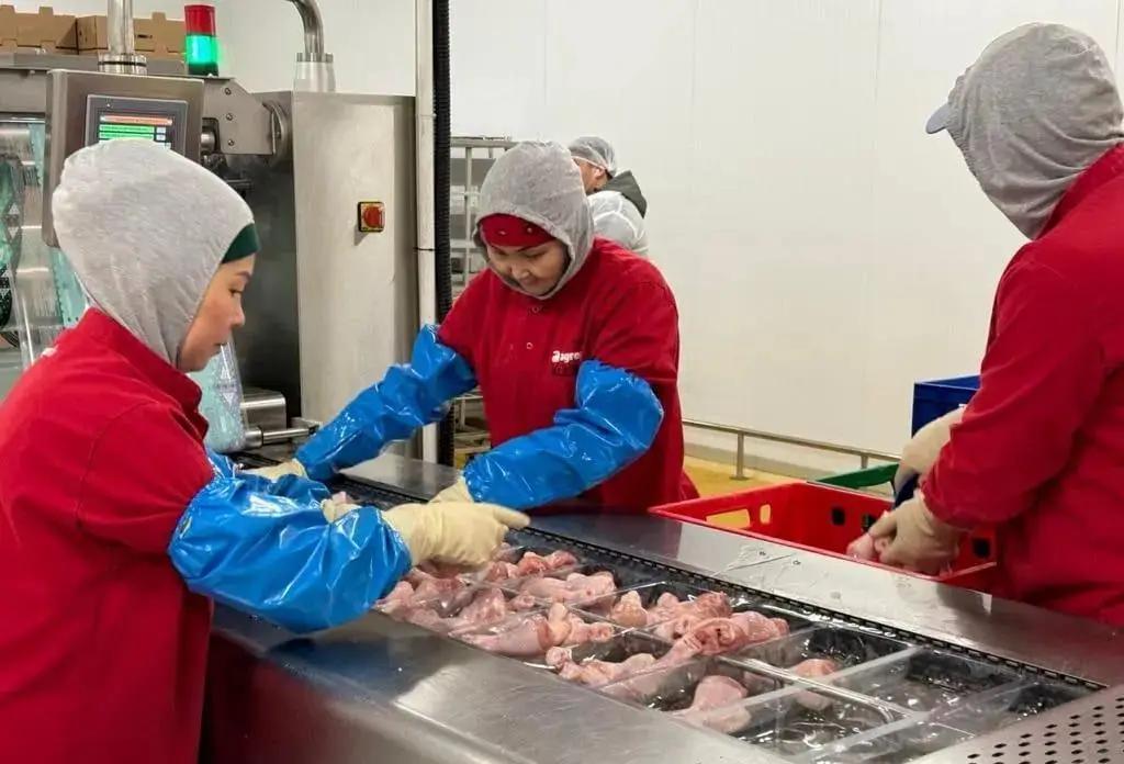 На Иссык-Куле дан старт строительству заводов по производству куриного мяса