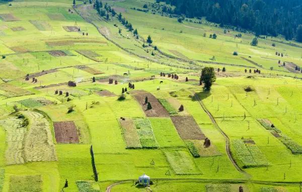 Прокуратура вернула мэрии Бишкека участки на 15 млн сомов