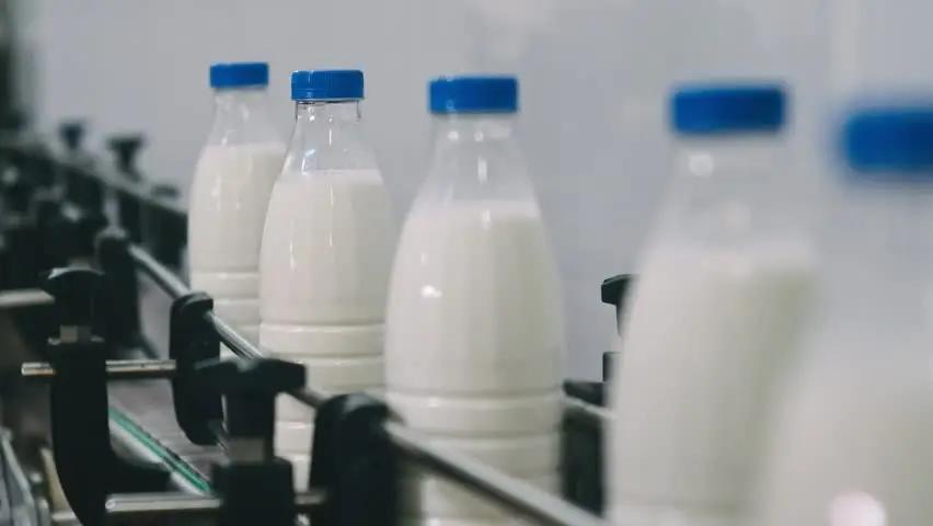 Россельхознадзор считает, что КР поставляет в Россию молоко из других стран