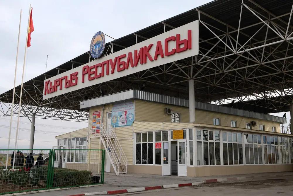 ГНС пресекла попытки незаконного ввоза крупного рогатого скота