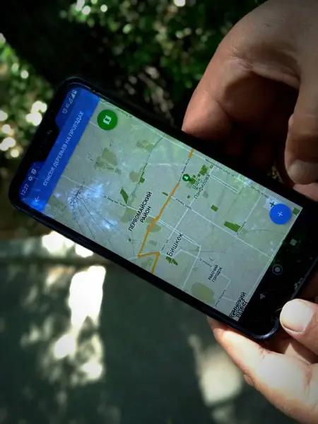 В столице будет работать база данных зеленых насаждений