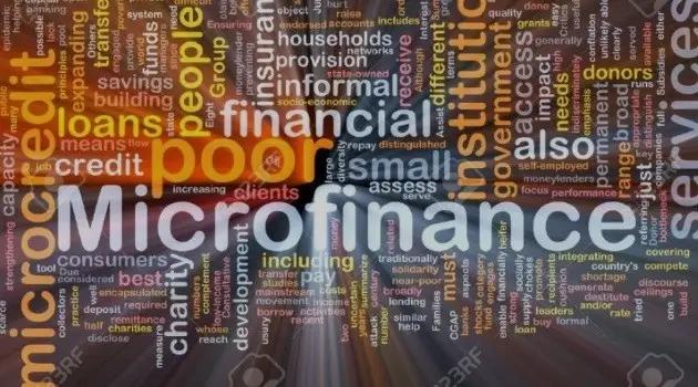 В Кыргызстане появилась новая микрофинансовая компания