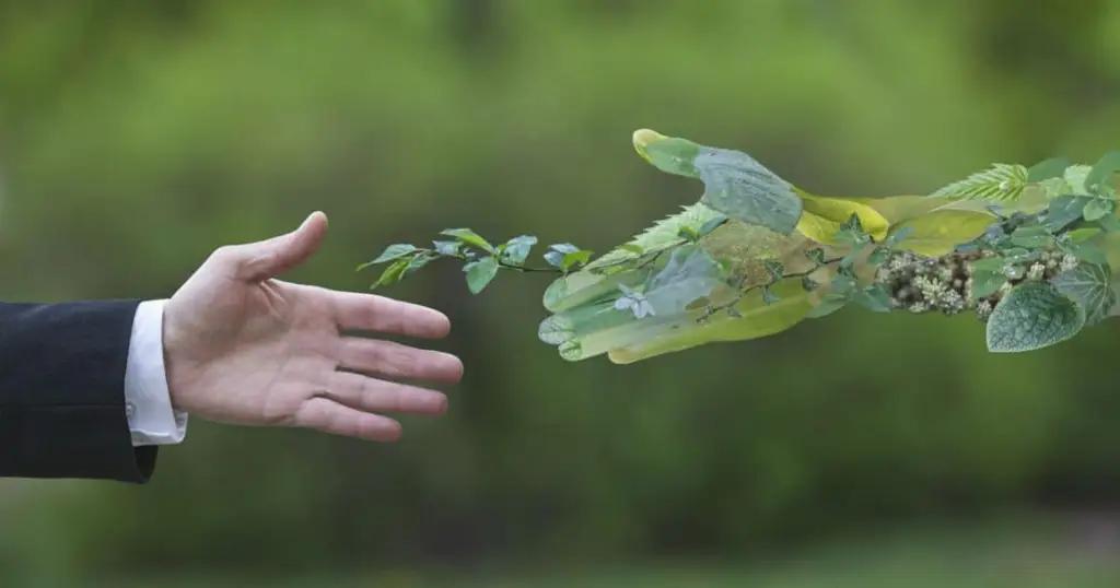 В КР есть база для выпуска зеленых облигаций — ПРООН