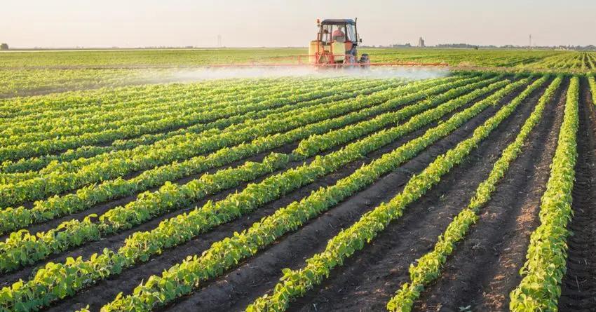 На конец мая по ФСХ-12 выдали кредитов на 2.9 млрд сомов