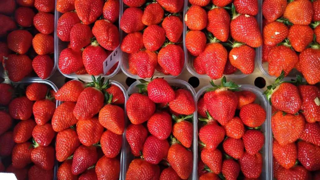 Экспортеры клубники намерены увеличить объем на $1 млрд