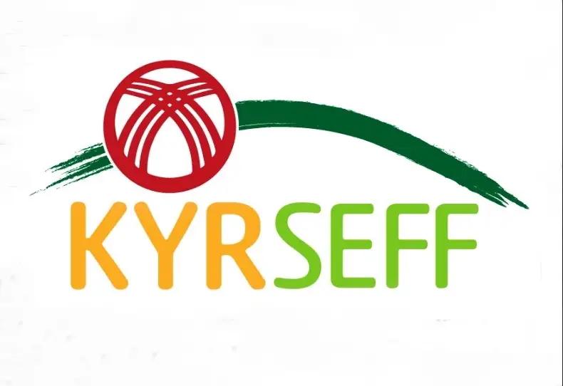 KyrSEFF наградила лучших кредитных специалистов за популяризацию энергосберегающих технологий