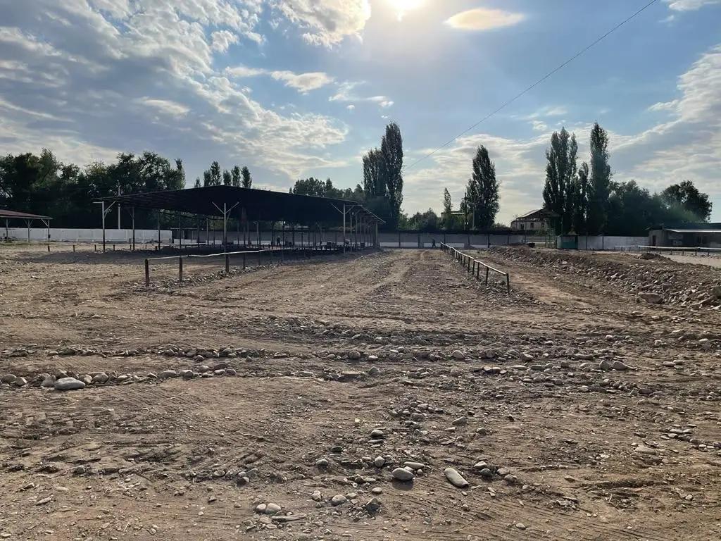 Скотный рынок в Кара-Балте отремонтирован