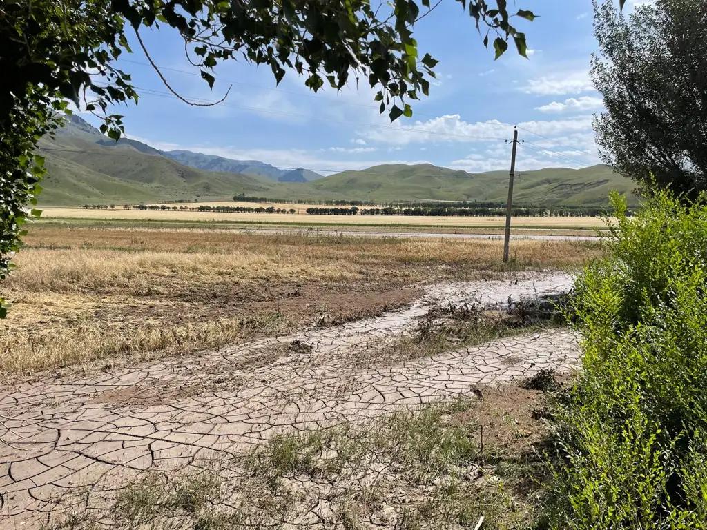 Подсчитали сельхозпотери от селей в Тюпском районе