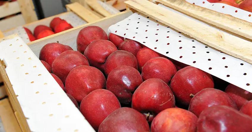 В I полугодии 2017 года экспорт кыргызстанских товаров вырос на 30%