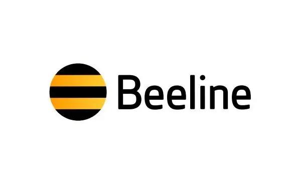 Beeline поздравляет кыргызстанцев с Днем независимости и дарит бесплатные звонки за рубеж в честь праздника