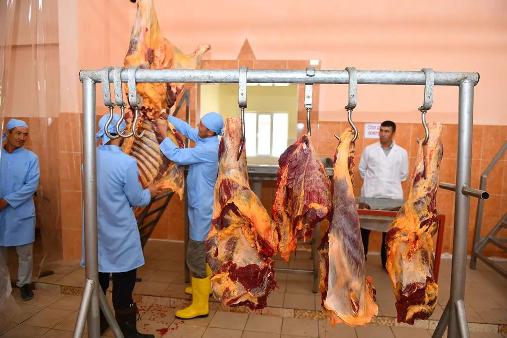 В Кыргызстане в селе Ала-Бука открыли мясной убойный цех