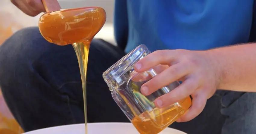 Кыргызстан может занять ключевое место на рынке здорового питания в Японии