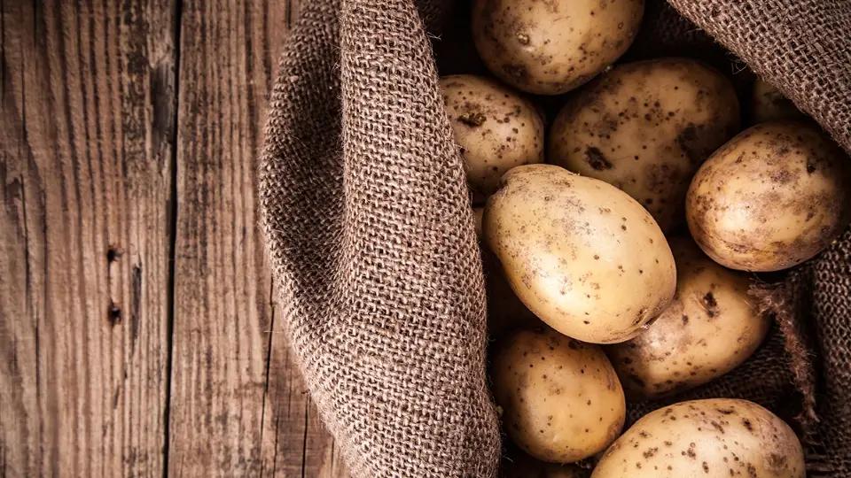 Первая партия картофеля из Нарына доставлена в Ташкент