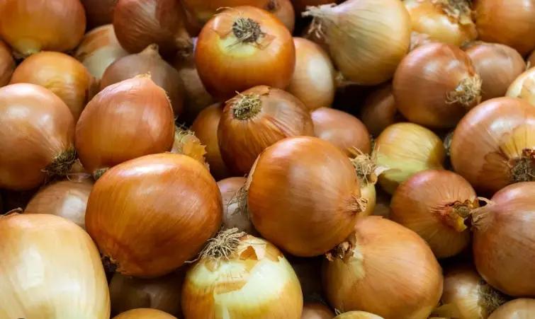 В ЕАЭС резко упали цены на лук. Что делать фермерам Кыргызстана?