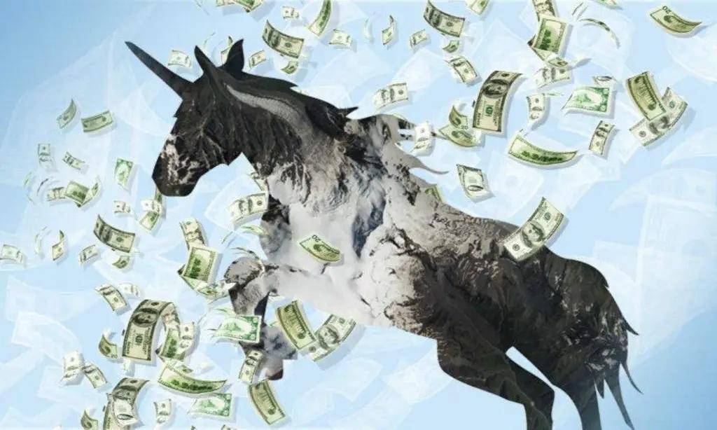 Топ-10 крупнейших «компаний-единорогов»