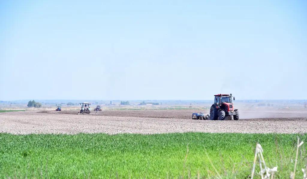 Премьер-министр проинспектировал весенние полевые работы