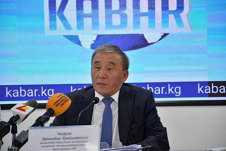 «Раздутый штат» оказался пузырем: в Минсельхозе работают 889 человек