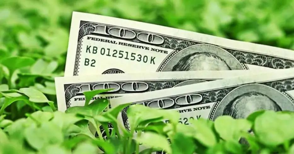 Миру потребуется от $3 до 5 трлн ежегодно для достижения ЦУР к 2030 году