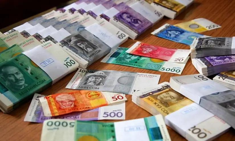 Для каких целей кыргызстанцы берут микрокредиты