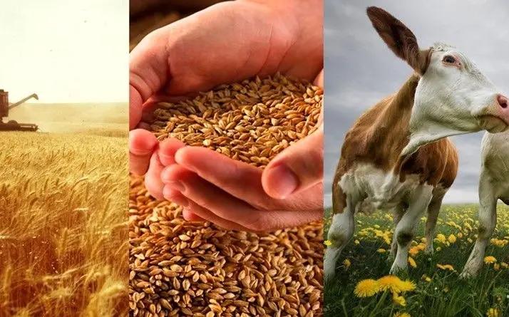 Фермеры взяли в займы у государства более 1.6 млрд сомов по проекту ФСХ-9