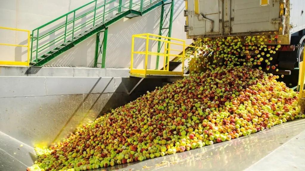 Еще одна компания получила разрешение на выдачу складских свидетельств фермерам