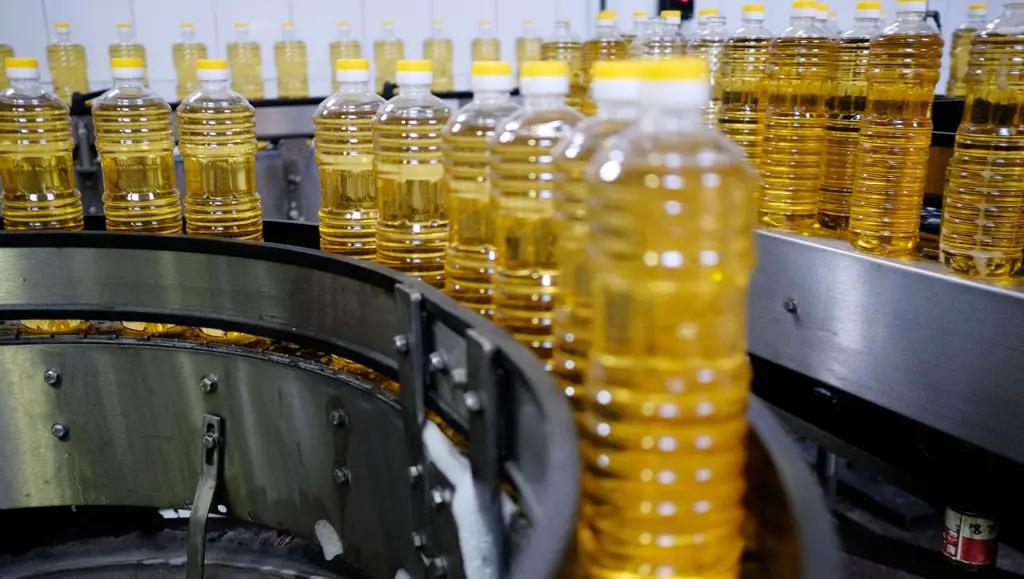 Казахстанские компании хотят производить в КР подсолнечное масло