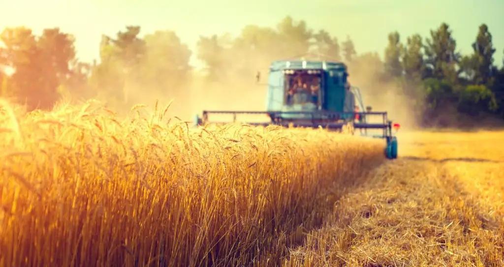 Комбанки КР выдали льготные кредиты сельскому хозяйству на 185 млн сомов