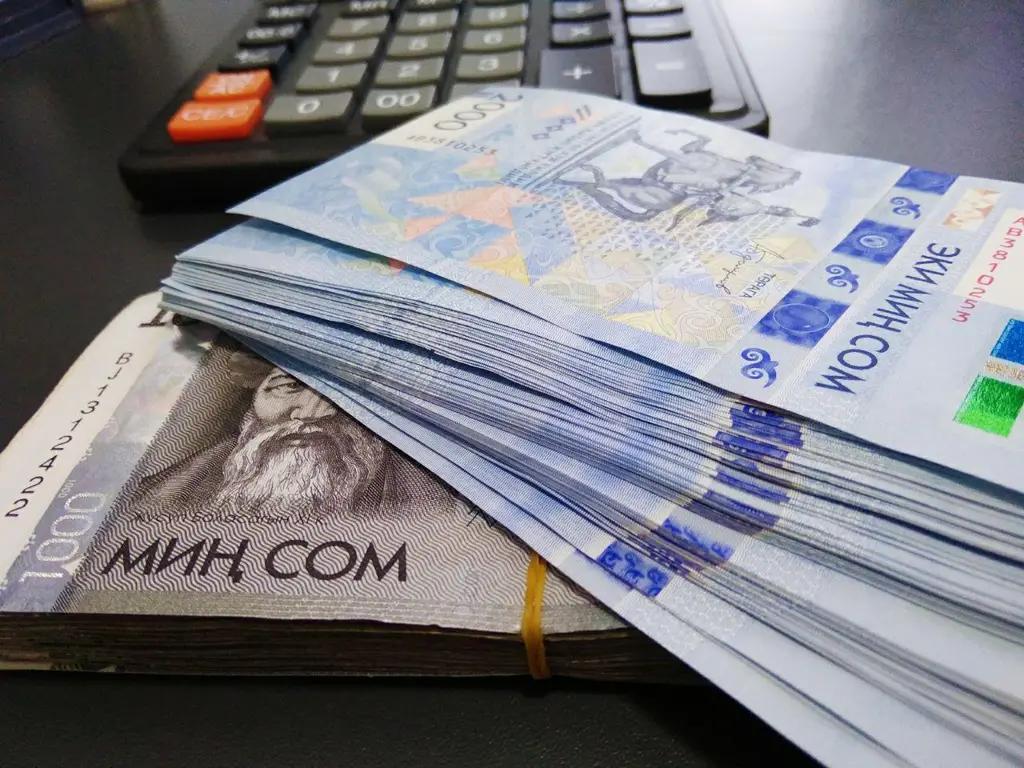 «Дочка» офшорной компании задолжала бюджету КР 90 млн сомов