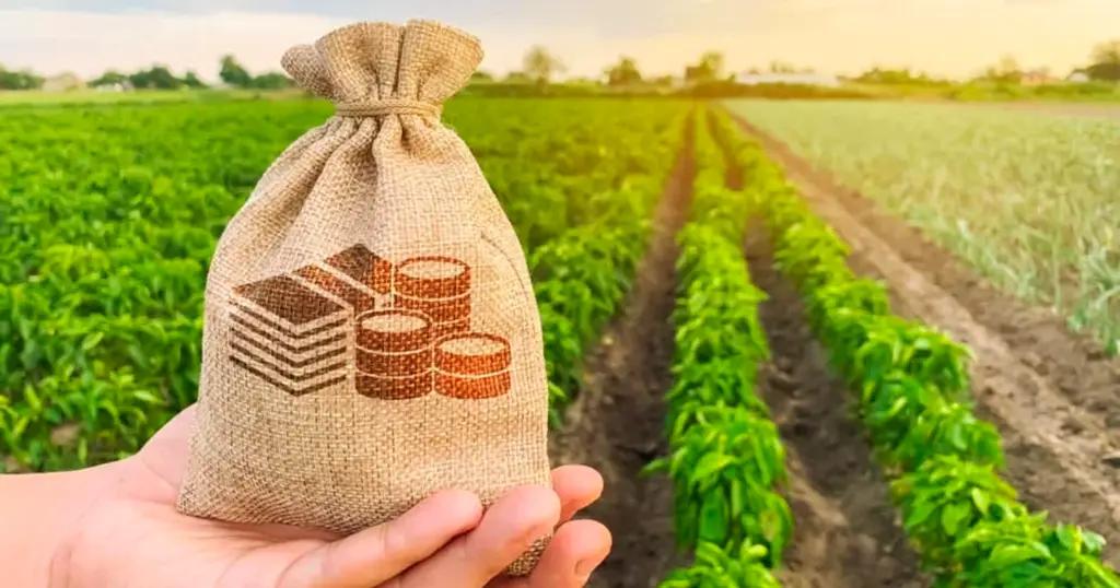 Фермеры смогут получить кредиты, оставив в залог свою продукцию