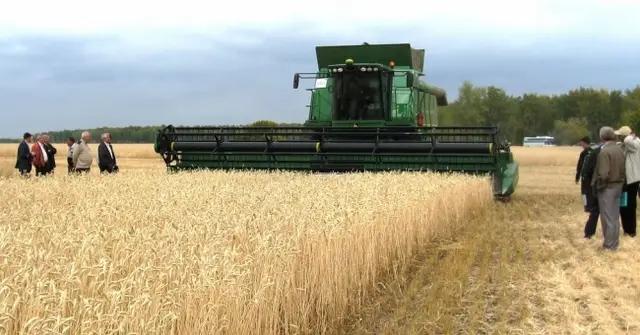 Правительство КР ужесточило условия выдачи льготных кредитов фермерам