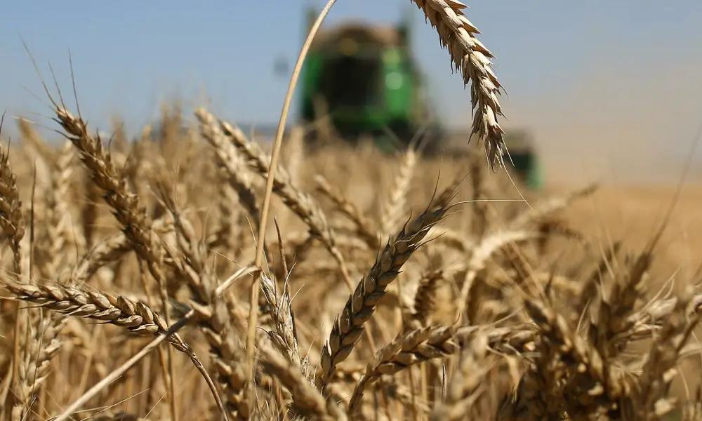 «Фонд развития предпринимательства» снизил ставки на кредиты для фермеров