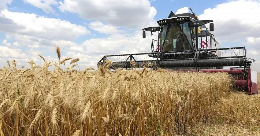 «Айыл Банк» выдал кредиты на 2.1 млрд сомов по госпрограмме