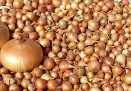 Кыргызстан хочет ввести временный запрет на экспорт лука