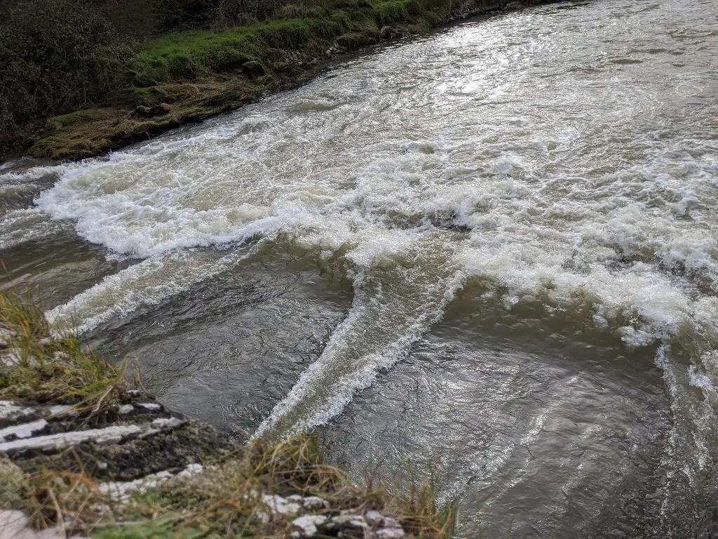 Тарифы на поливную воду останутся прежними