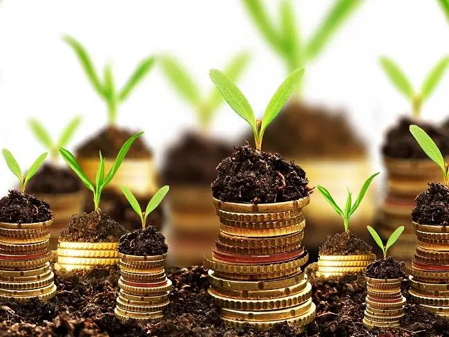 Больше всего кредитов по ФСХ-8 выдано в Чуйскую область