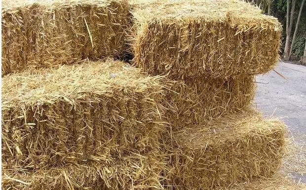 В КР цены на сено и солому за неделю выросли более чем на 20 сомов