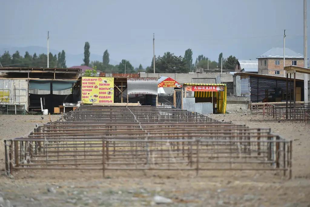 Строительство скотного рынка в Чуйской области могут завершить раньше