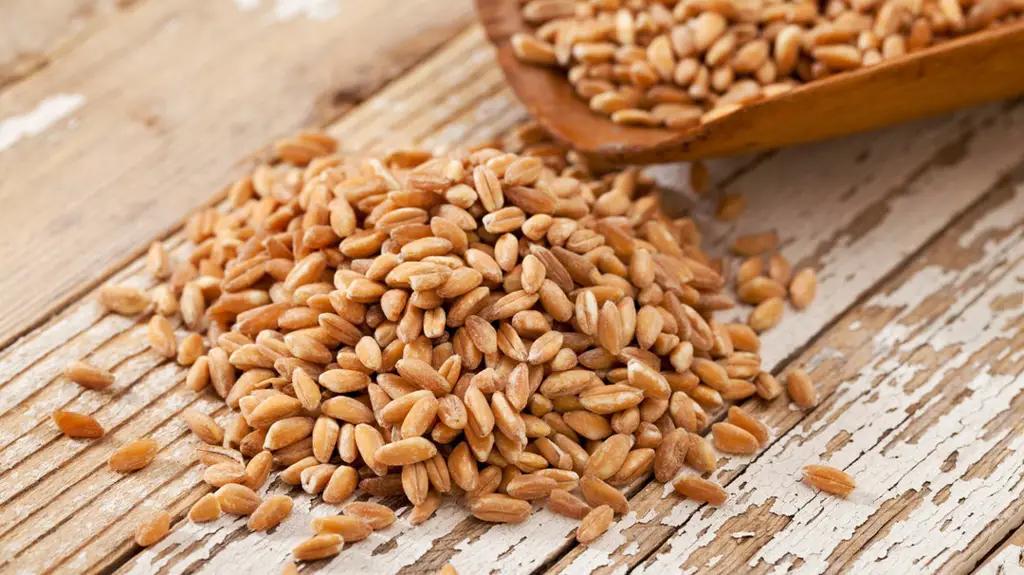 Экспорт сельхозпродукции из Казахстана достиг $2.5 млрд