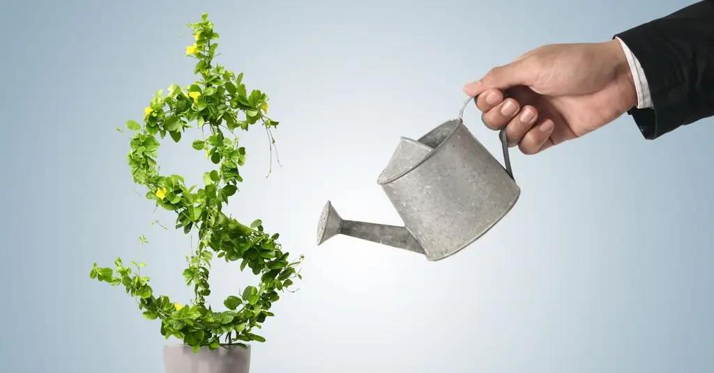 Поступления прямых инвестиций в 2016 году снизились на 48.2%