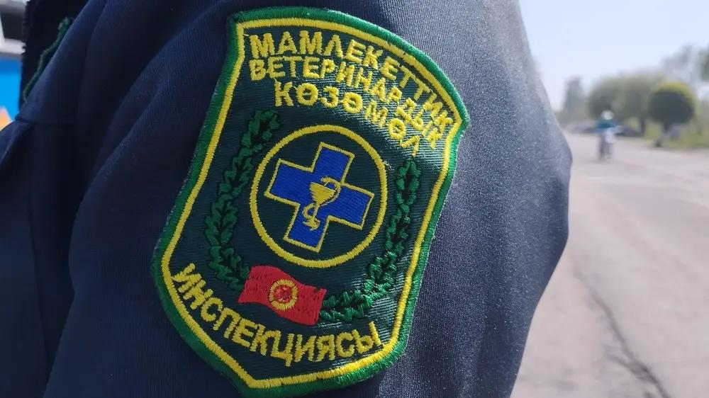 В работе ветеринарной службы выявлены нарушения